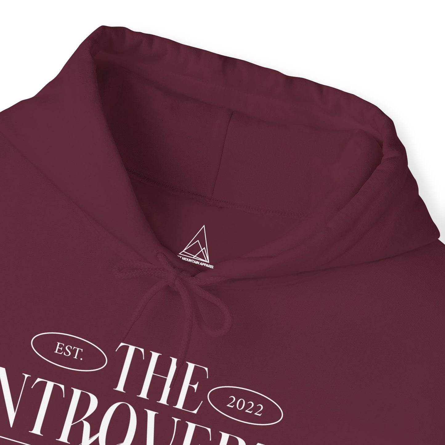 The Introverts Ministry Hoodie