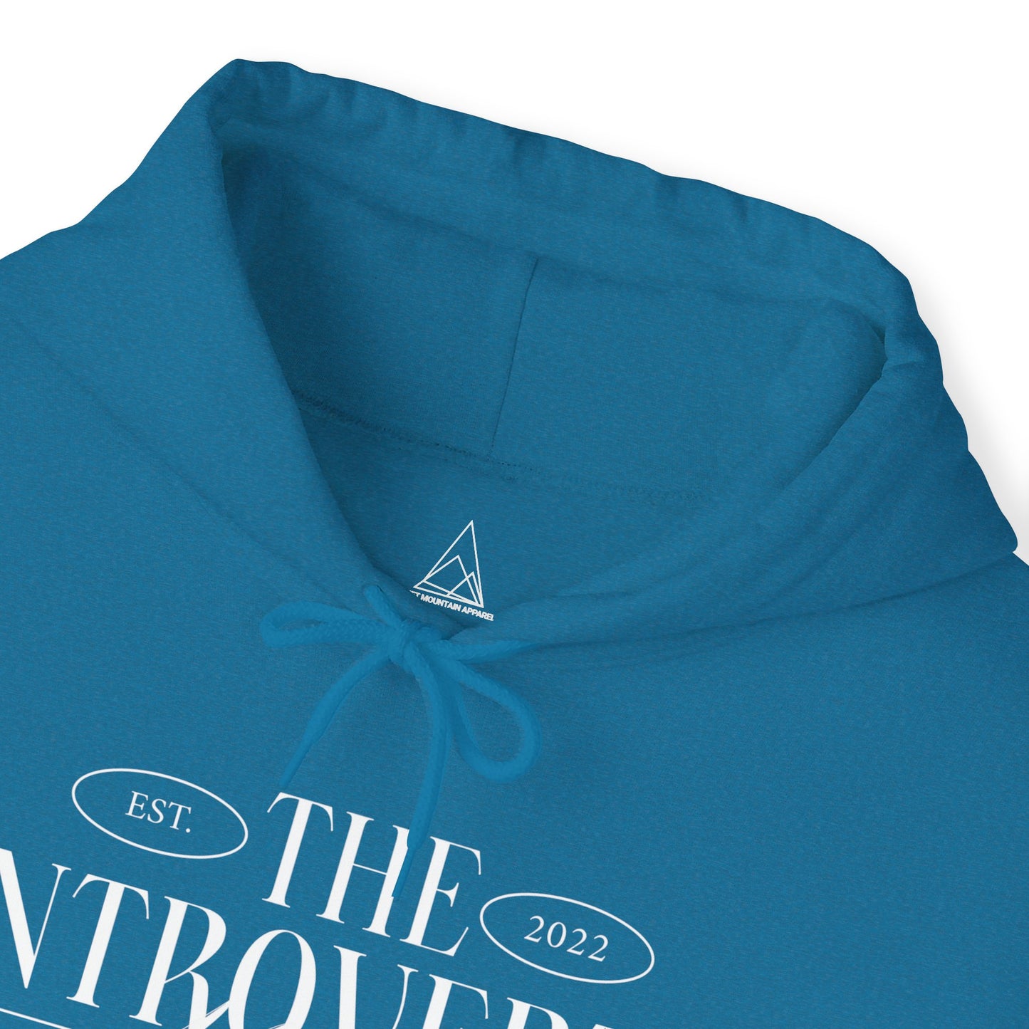 The Introverts Ministry Unisex Heavy Blend™ Hoodie