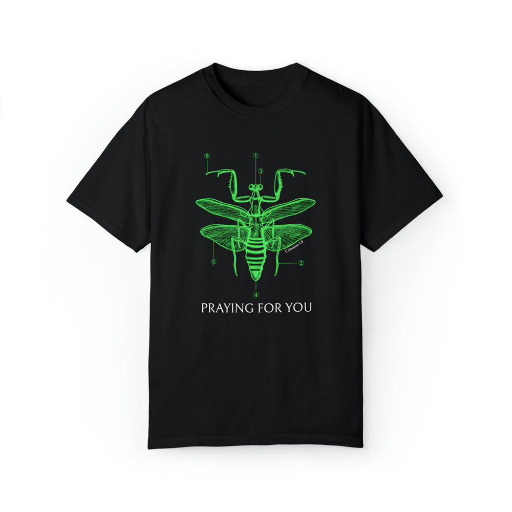 Praying For You Unisex Relaxed Fit Tee